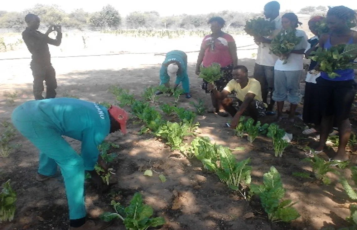 Rural community outreach